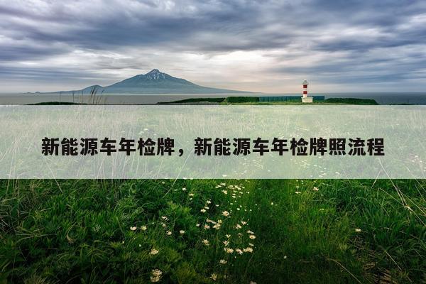 新能源车年检牌,新能源车年检牌照流程
